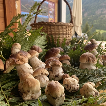 porcini-malgapie